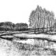 Artwrite